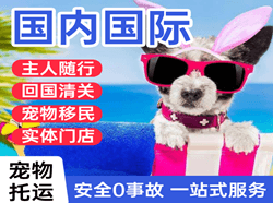 阿尔山伊尔施机场物流国际宠物托运 【国